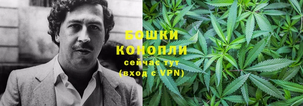 амф Касимов