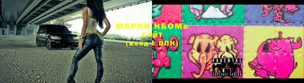 индика Карпинск